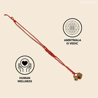 AMRITMALA PURE HERB
